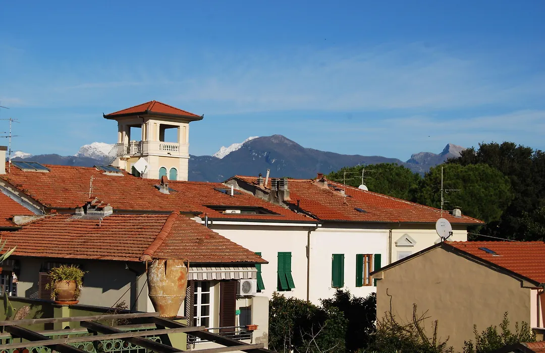 Burlamacco Gold-1